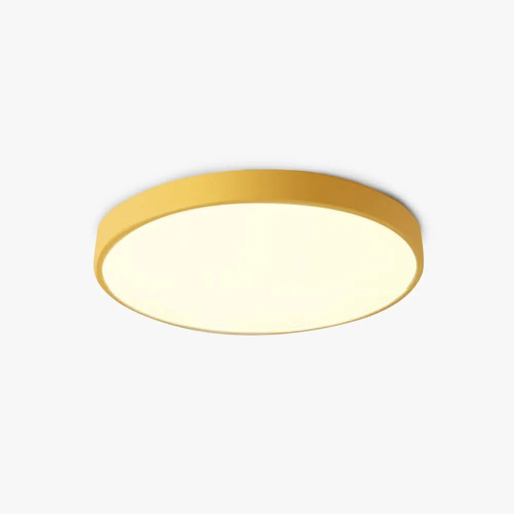 Ceiling Light Integrated LED Dimmable