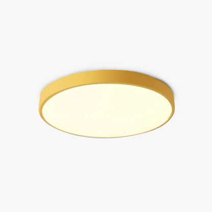 Ceiling Light Integrated LED Dimmable