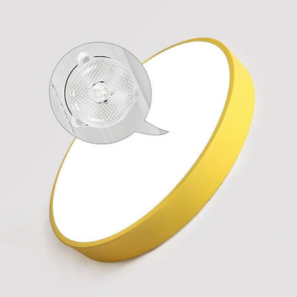 Ceiling Light Integrated LED Dimmable