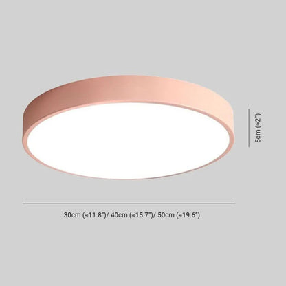 Ceiling Light Integrated LED Dimmable