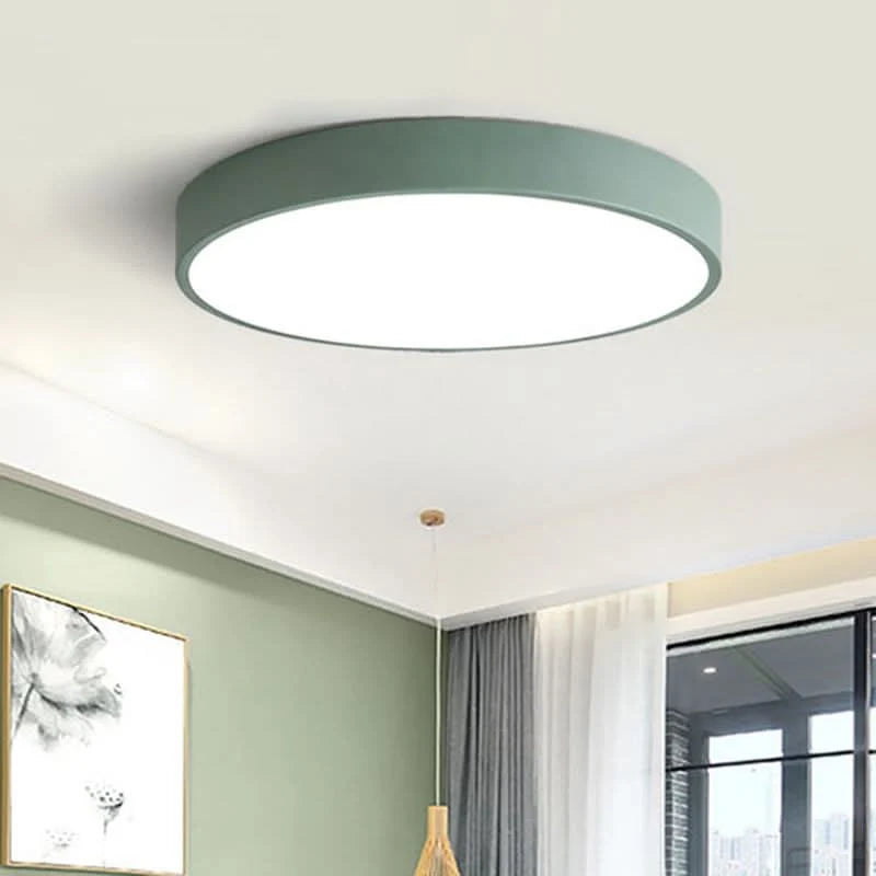 Ceiling Light Integrated LED Dimmable