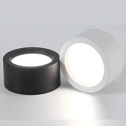 Ceiling Light LED Slim Profile Adjustable Color Temperature