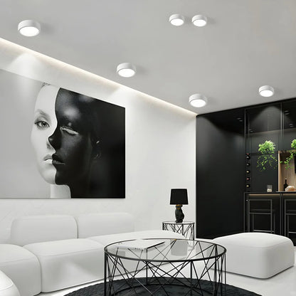 Ceiling Light LED Slim Profile Adjustable Color Temperature