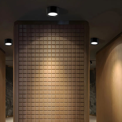 Ceiling Light LED Slim Profile Adjustable Color Temperature