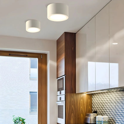 Ceiling Light LED Slim Profile Adjustable Color Temperature