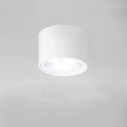 Ceiling Spotlight Adjustable COB LED Ceiling & Wall Mount
