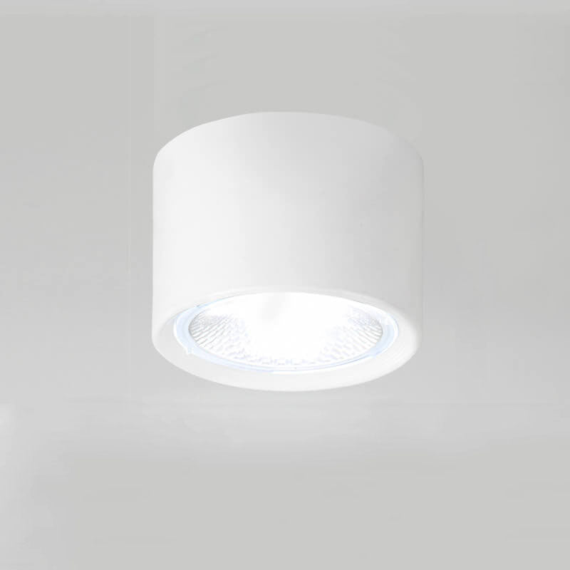 Ceiling Spotlight Adjustable COB LED Ceiling & Wall Mount