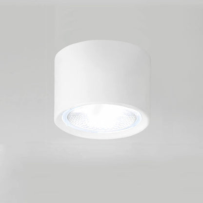 Ceiling Spotlight Adjustable COB LED Ceiling & Wall Mount