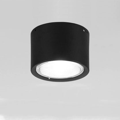 Ceiling Spotlight Adjustable COB LED Ceiling & Wall Mount