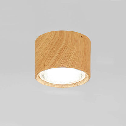 Ceiling Spotlight Adjustable COB LED Ceiling & Wall Mount