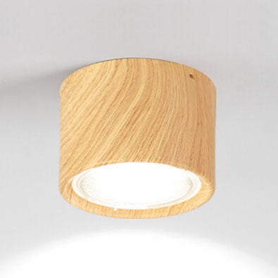 Ceiling Spotlight Adjustable COB LED Ceiling & Wall Mount