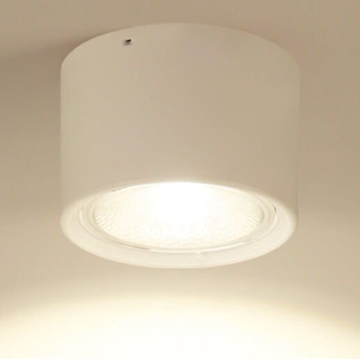 Ceiling Spotlight Adjustable COB LED Ceiling & Wall Mount
