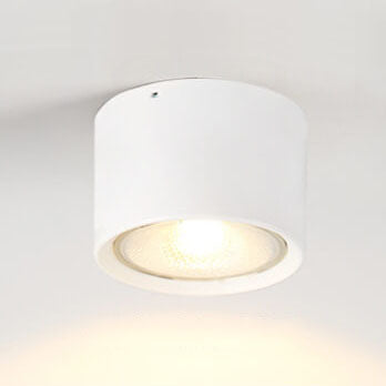 Ceiling Spotlight Adjustable COB LED Ceiling & Wall Mount