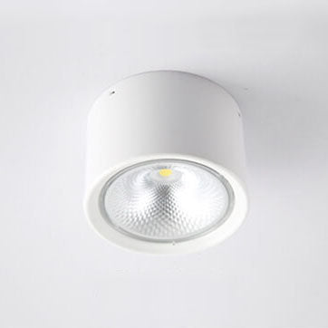 Ceiling Spotlight Adjustable COB LED Ceiling & Wall Mount