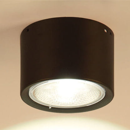 Ceiling Spotlight Adjustable COB LED Ceiling & Wall Mount