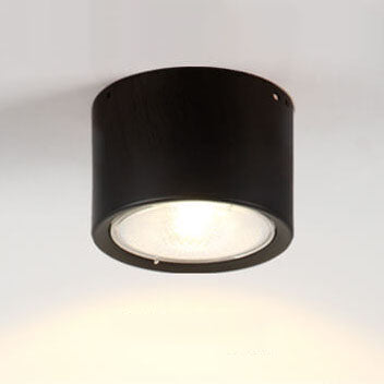 Ceiling Spotlight Adjustable COB LED Ceiling & Wall Mount