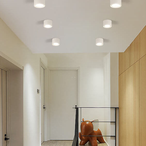 Ceiling Spotlight Adjustable COB LED Ceiling & Wall Mount