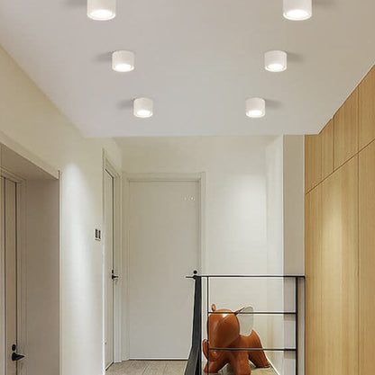 Ceiling Spotlight Adjustable COB LED Ceiling & Wall Mount