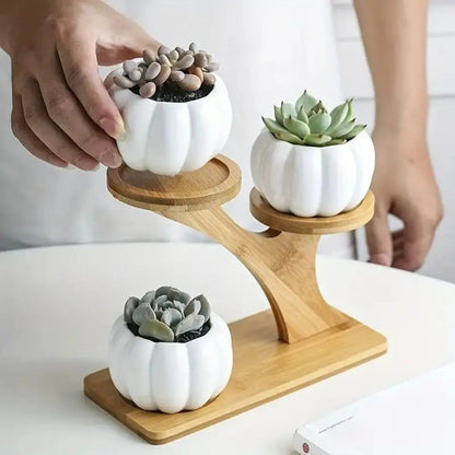 Desktop Plant Stand Bamboo Multi-Level