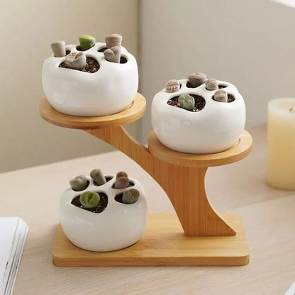 Desktop Plant Stand Bamboo Multi-Level