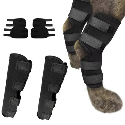 Dog Ankle Brace Neoprene Compression Reflective Strips
