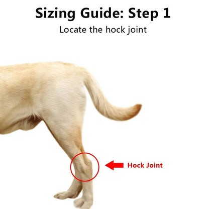 Dog Ankle Brace Neoprene Compression Reflective Strips
