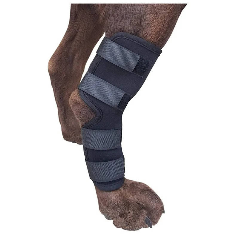 Dog Ankle Brace Neoprene Compression Reflective Strips