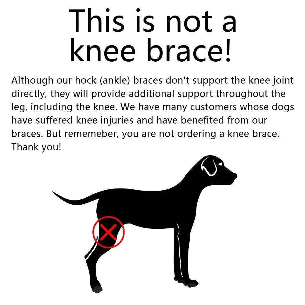 Dog Ankle Brace Neoprene Compression Reflective Strips
