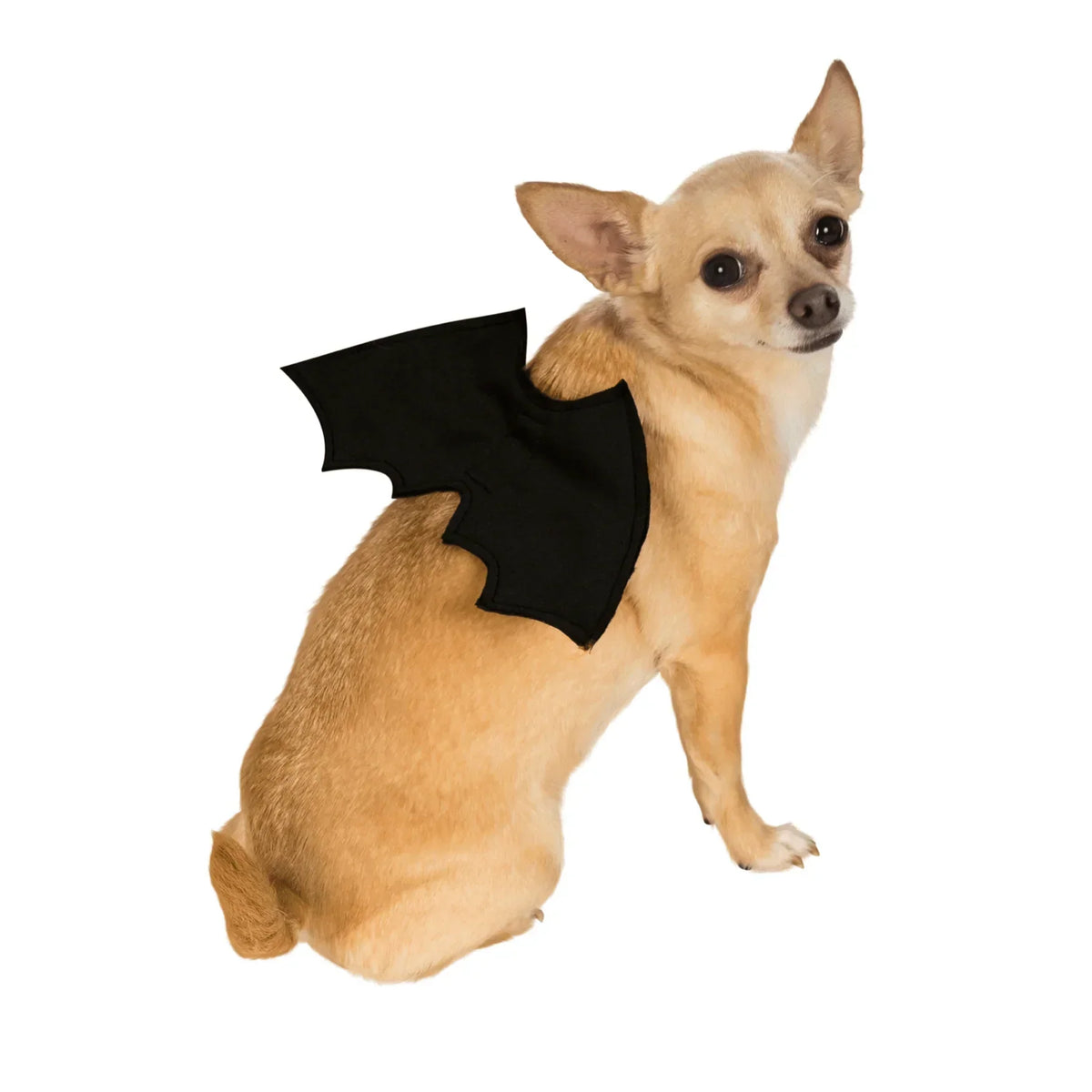 Dog Bat Costume Soft Felt Adjustable Straps Freedom of Movement