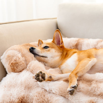 Dog Bed Ultra-Soft Plush Non-Slip Sofa Protector