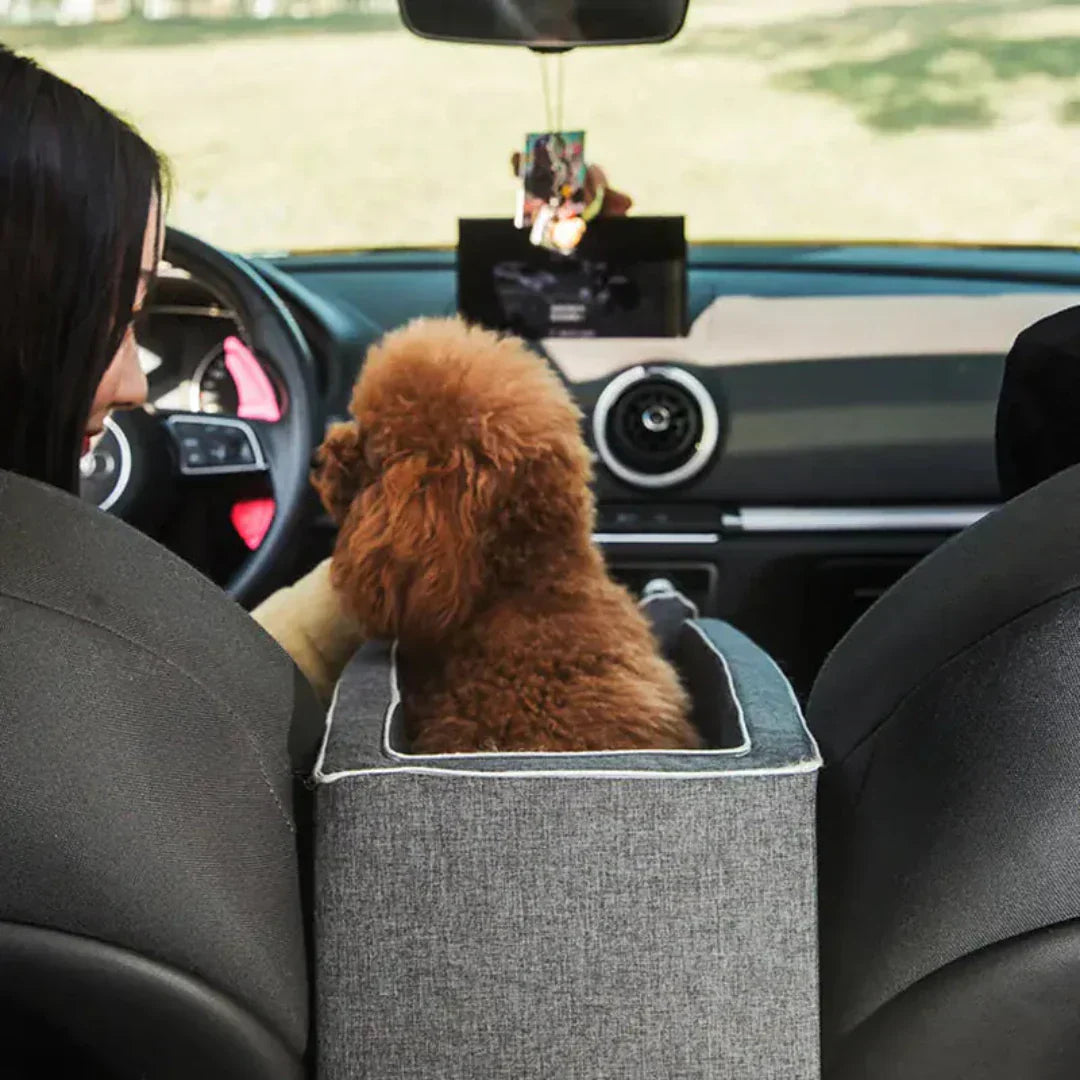 Dog Car Seat Padded Booster Adjustable Straps & Safety Leash