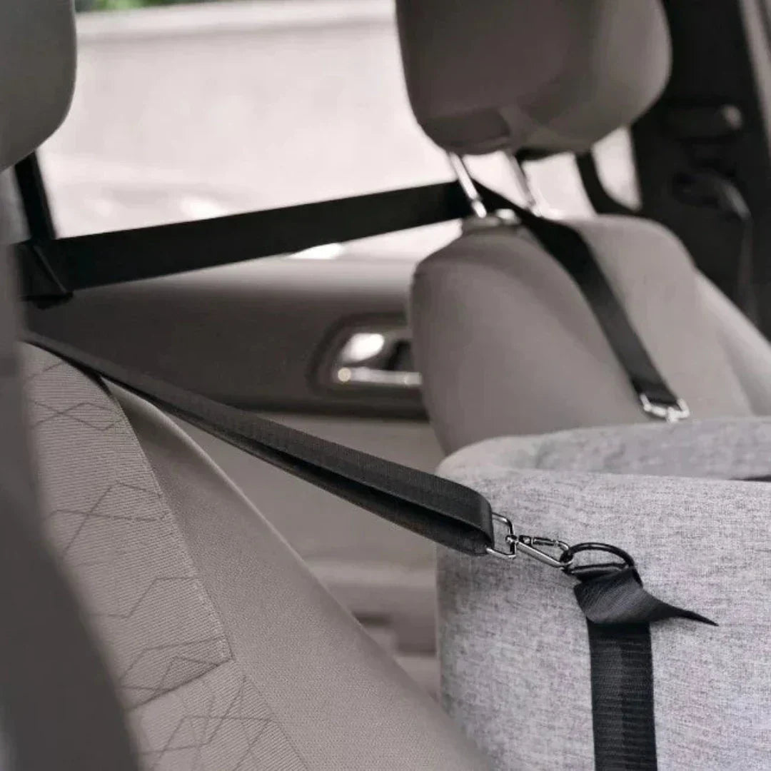 Dog Car Seat Padded Booster Adjustable Straps & Safety Leash