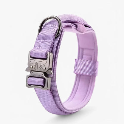 Dog Collar Adjustable Padded Nylon with Control Handle