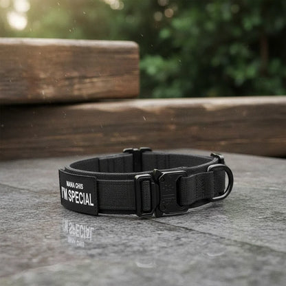 Dog Collar Nylon Padded Adjustable with Control Handle