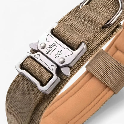 Dog Collar Nylon Padded Adjustable with Control Handle