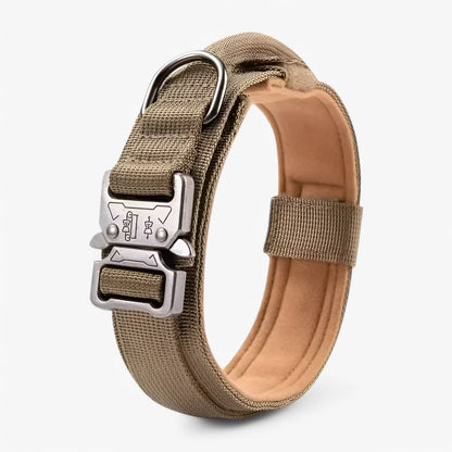 Dog Collar Nylon Padded Adjustable with Control Handle