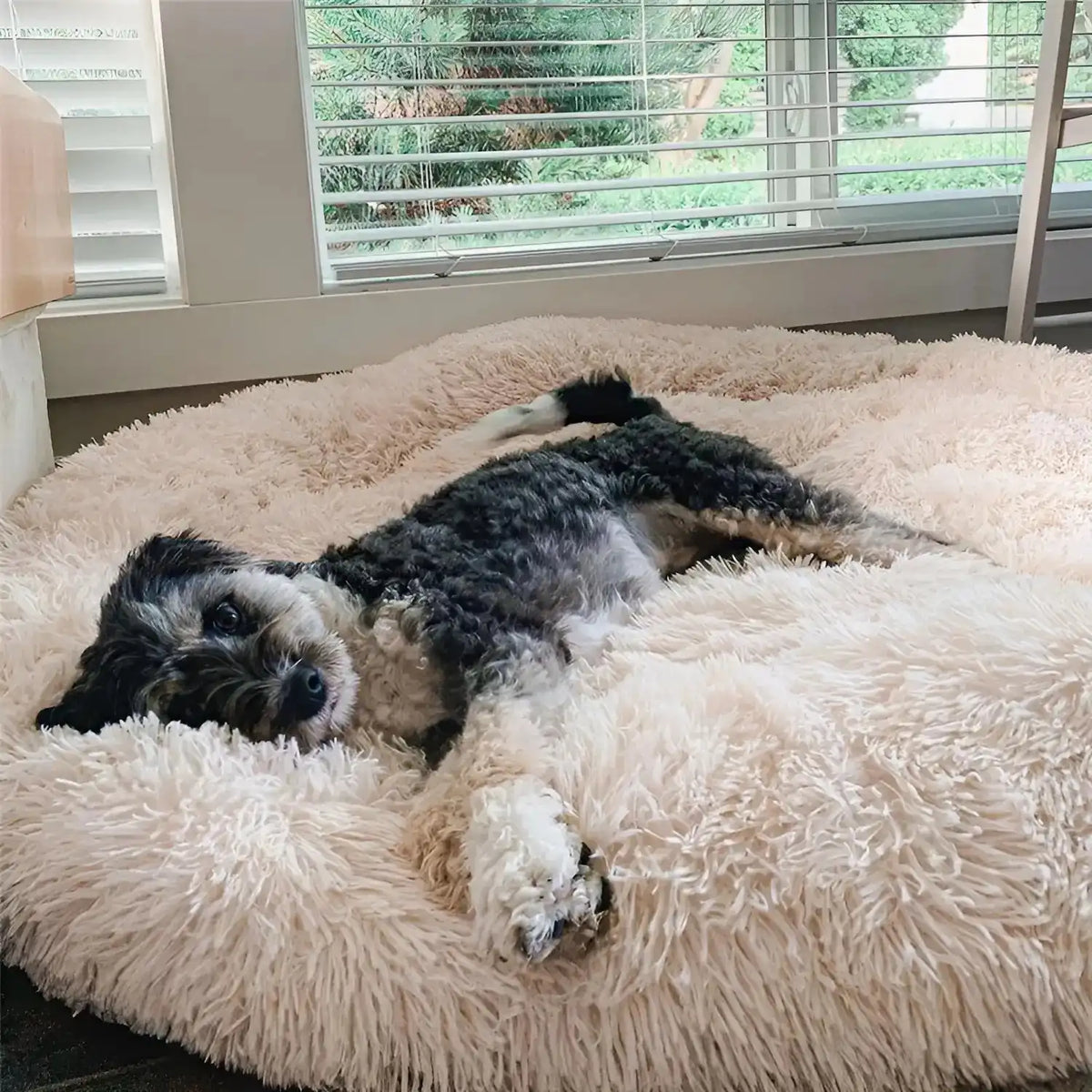 Dog Cooling Mat Bed-Style Design Multiple Sizes