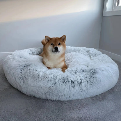 Dog Cooling Mat Bed-Style Design Multiple Sizes