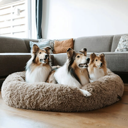Dog Cooling Mat Bed-Style Design Multiple Sizes