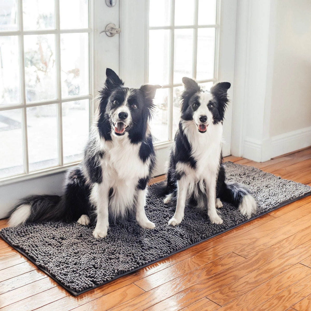 Dog Door Mat Absorbent Non-Slip