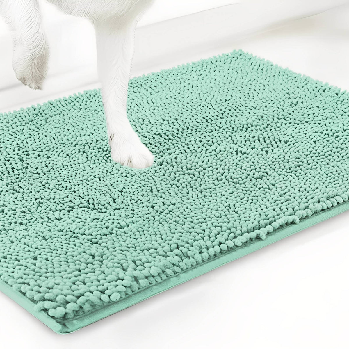 Dog Door Mat Absorbent Non-Slip