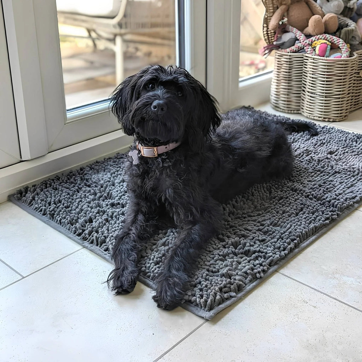 Dog Door Mat Absorbent Non-Slip