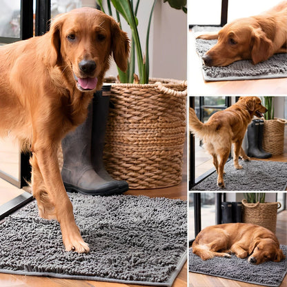 Dog Door Mat Absorbent Non-Slip