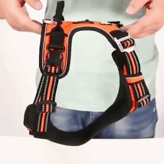 Dog Harness Adjustable Breathable Quick-Release Buckles