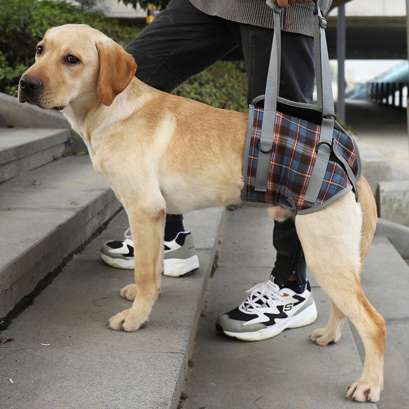Dog Harness Orthopedic Front Or Hind Leg Support
