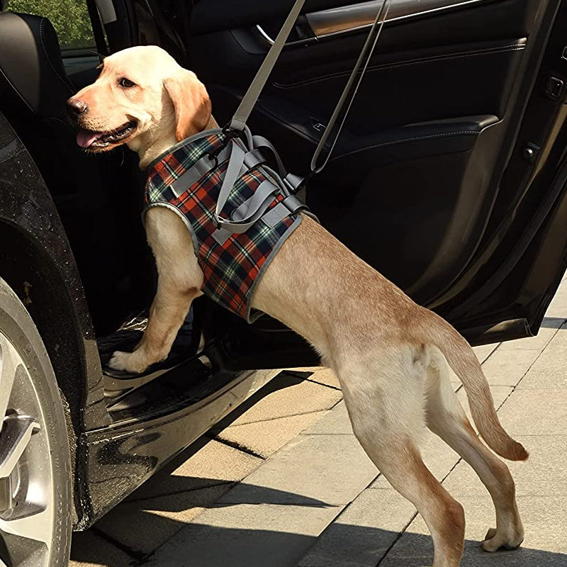 Dog Harness Orthopedic Front Or Hind Leg Support