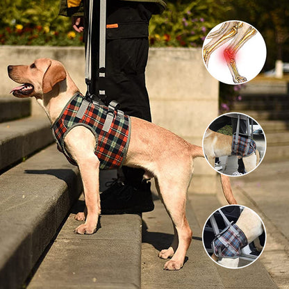 Dog Harness Orthopedic Front Or Hind Leg Support