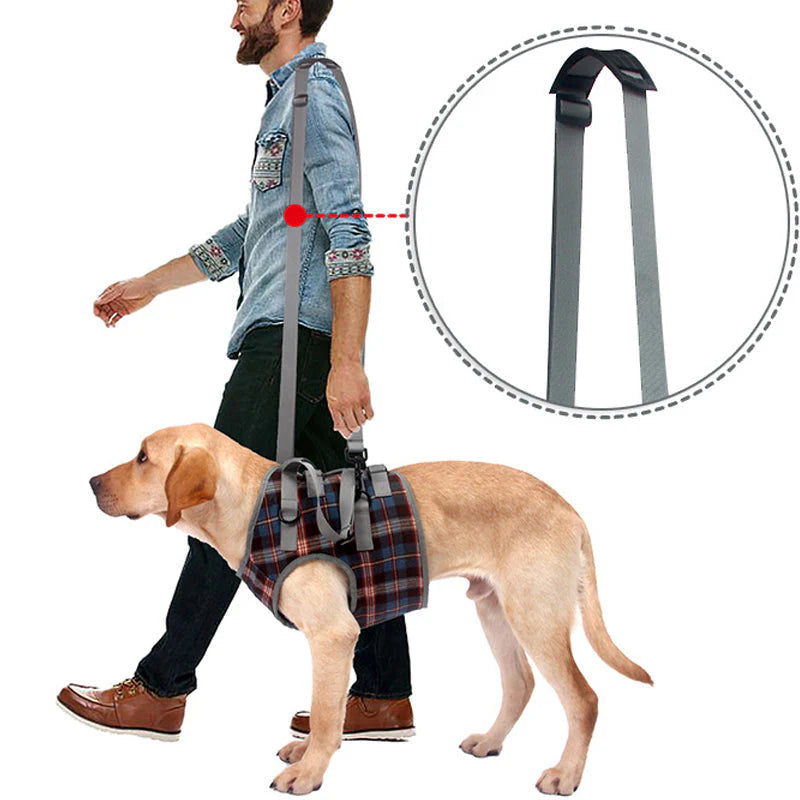 Dog Harness Orthopedic Front Or Hind Leg Support