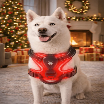 Dog Harness Rechargeable LED Lights Adjustable Fit