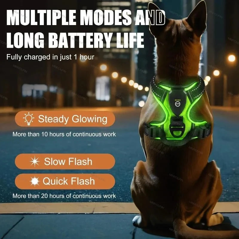 Dog Harness Rechargeable LED Lights Adjustable Fit